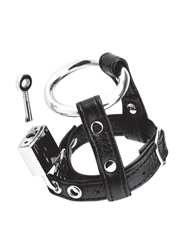 Blue Line Duo Cock and Ball Lock: Metall-Penisring mit Leder-Hodenriemen