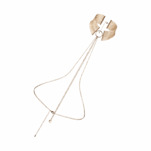 Désir Métallique