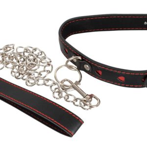 Halsfessel plus Leine in edler Lederoptik