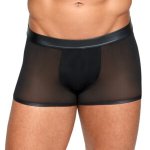 Pants, semi-transparent