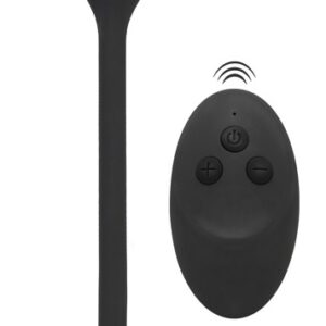 Vibro-Analplug mit Penis-/Hodenring